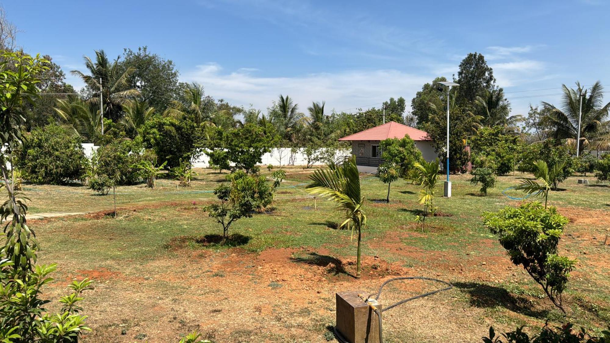 Raj Home Stay Майсур Экстерьер фото